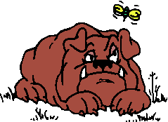 犬