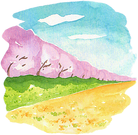 桜並木