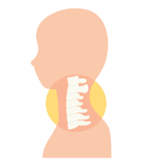 首関節