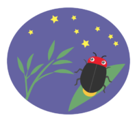 星